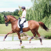 Damasker Leather Hind Brun Damasker Leather Hind Brun