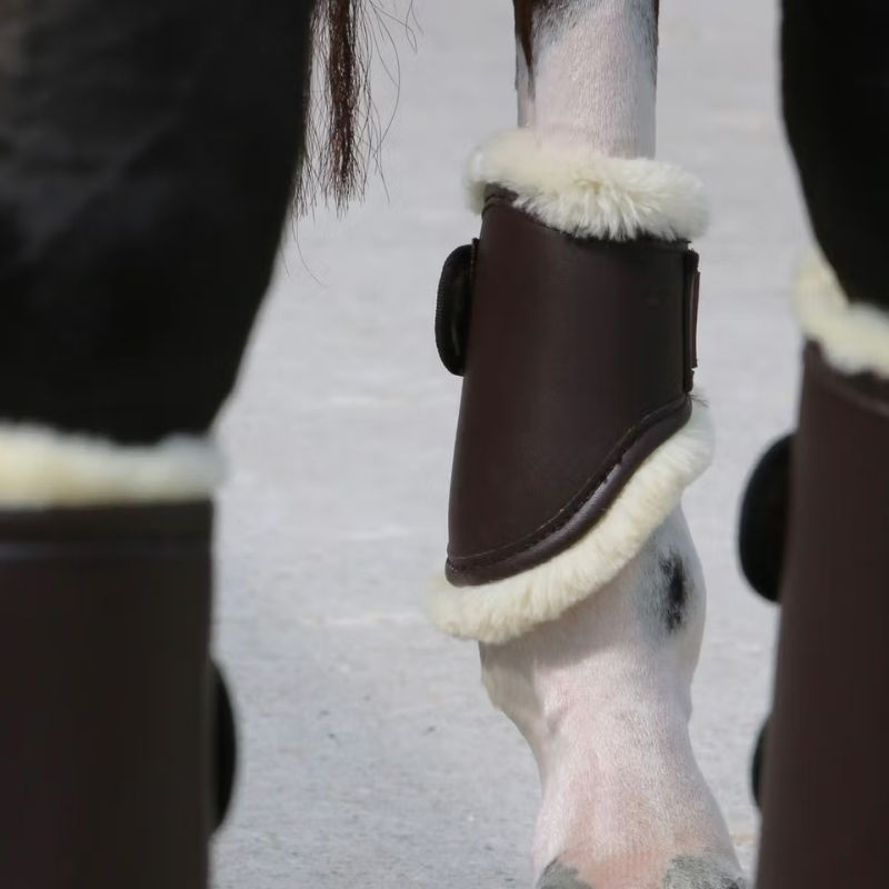 Damasker Leather Hind Short Brun