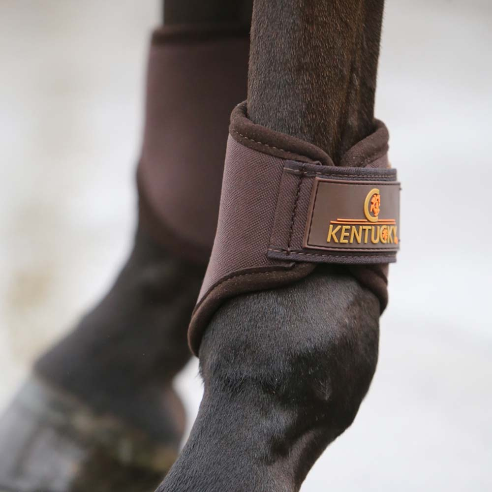 Damasker 3D Spacer Hind Short Brun