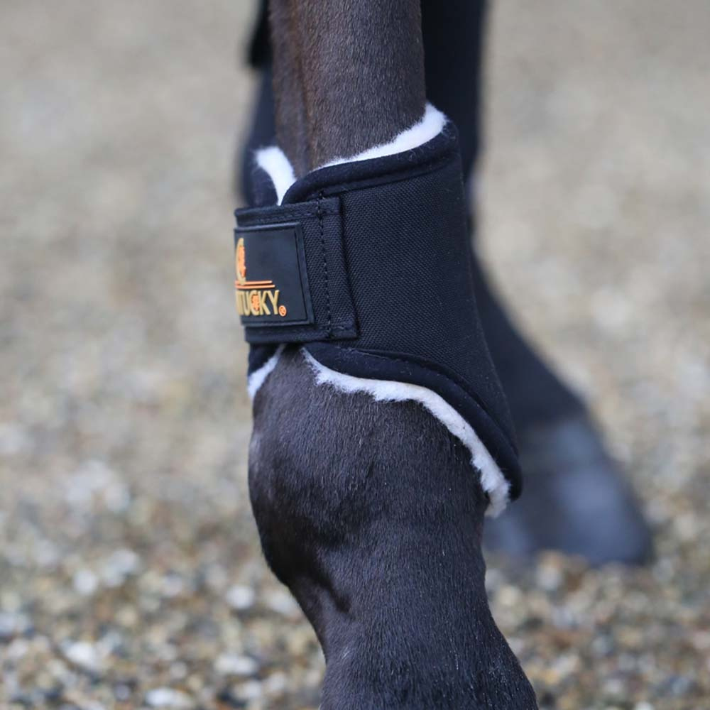 Damasker Solimbra Hind Short Svart