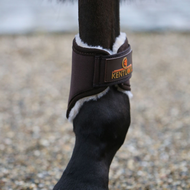 Damasker Solimbra Hind Short Brun