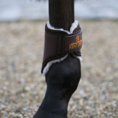 Damasker Solimbra Hind Short Brun Damasker Solimbra Hind Short Brun