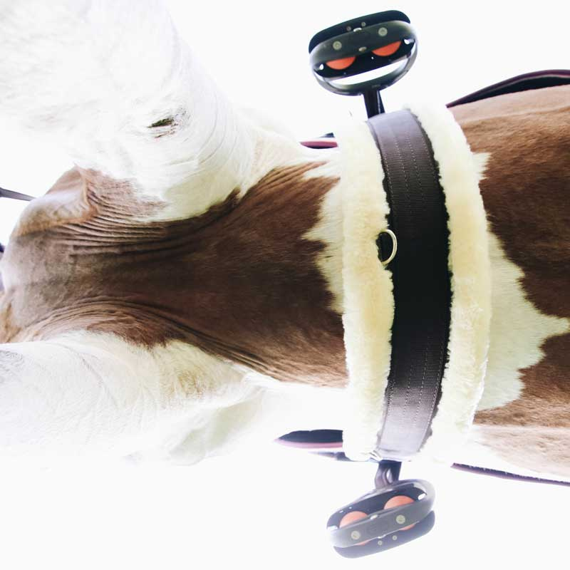 Sadelgjord Sheepskin Brun