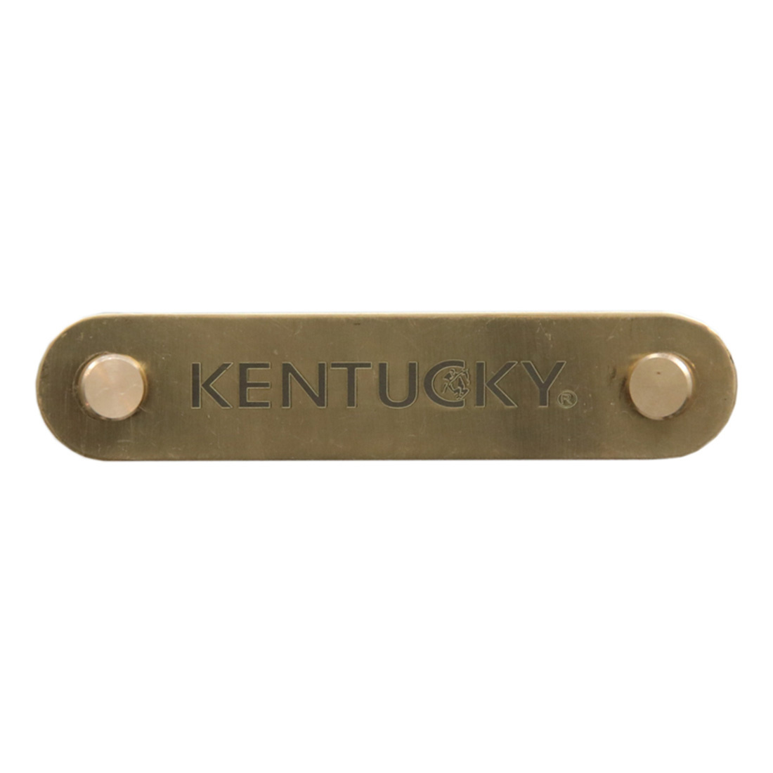 Namnskylt Logo Plate Guld
