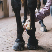 Ull Therapeutic 150g Natur Ull Therapeutic 150g Natur