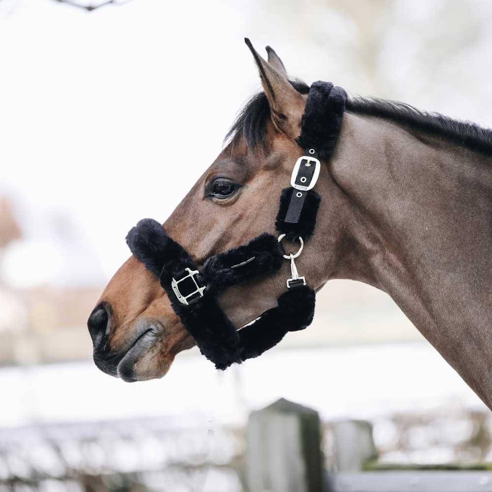 Transportgrimma Sheepskin Svart