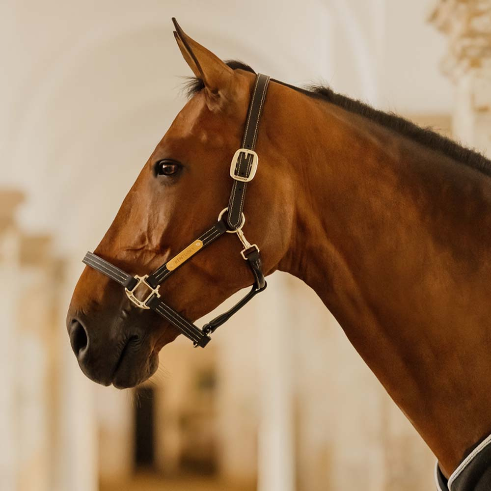 Lädergrimma Artificial Wellington Svart