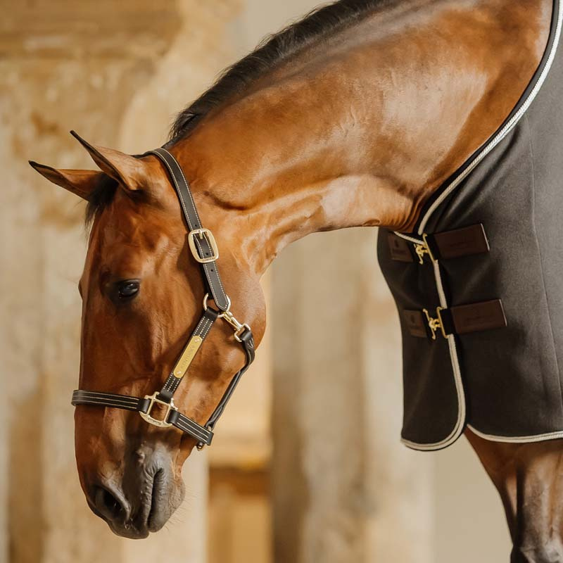 Lädergrimma Artificial Wellington Svart