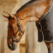 Lädergrimma Artificial Wellington Svart Lädergrimma Artificial Wellington Svart