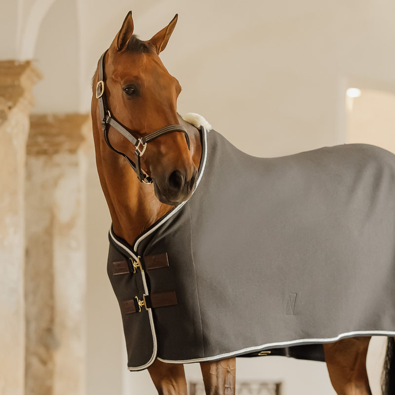 Lädergrimma Artificial Wellington Svart