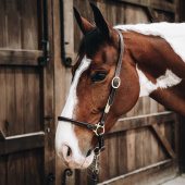 Groominggrimma Artificial Leather Brun Groominggrimma Artificial Leather Brun