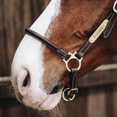 Groominggrimma Artificial Leather Brun Groominggrimma Artificial Leather Brun