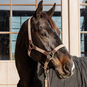 Grimma Plaited Nylon Beige Grimma Plaited Nylon Beige