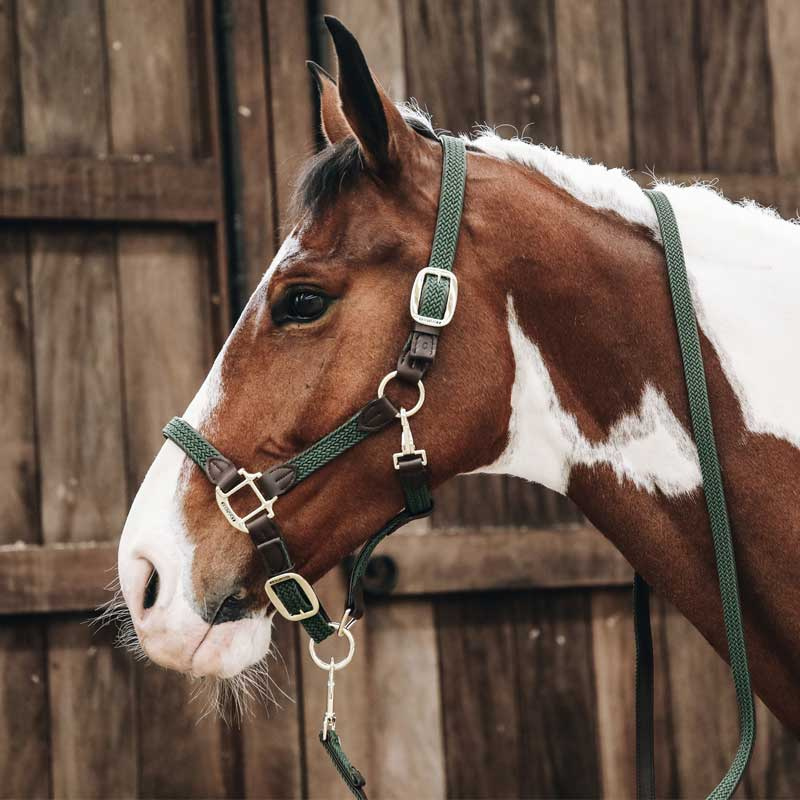 Flätad Nylongrimma Olivgrön