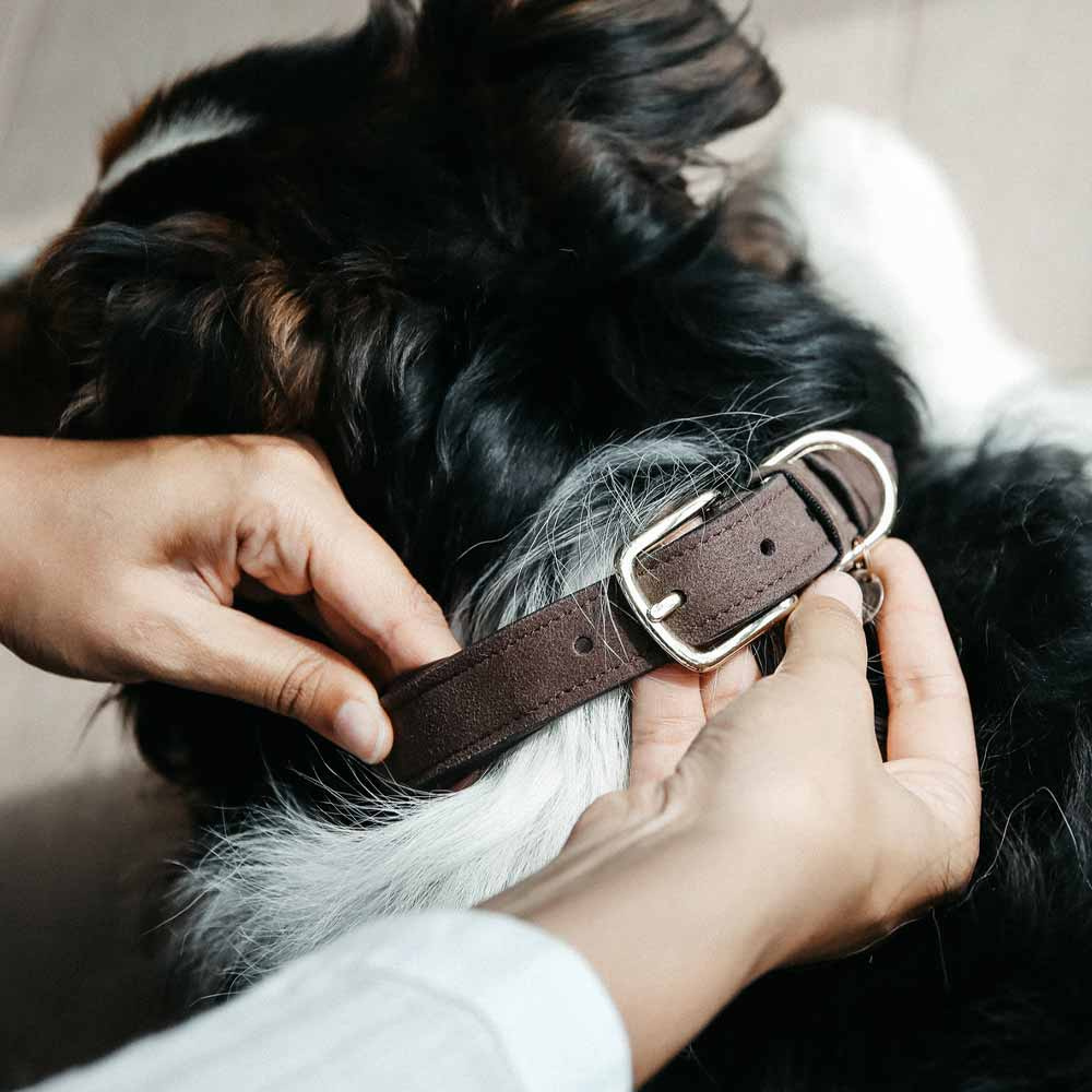 Hundhalsband Velvet Leather Brun