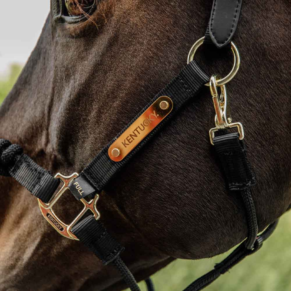 Grimma Control Nylon Rope Svart