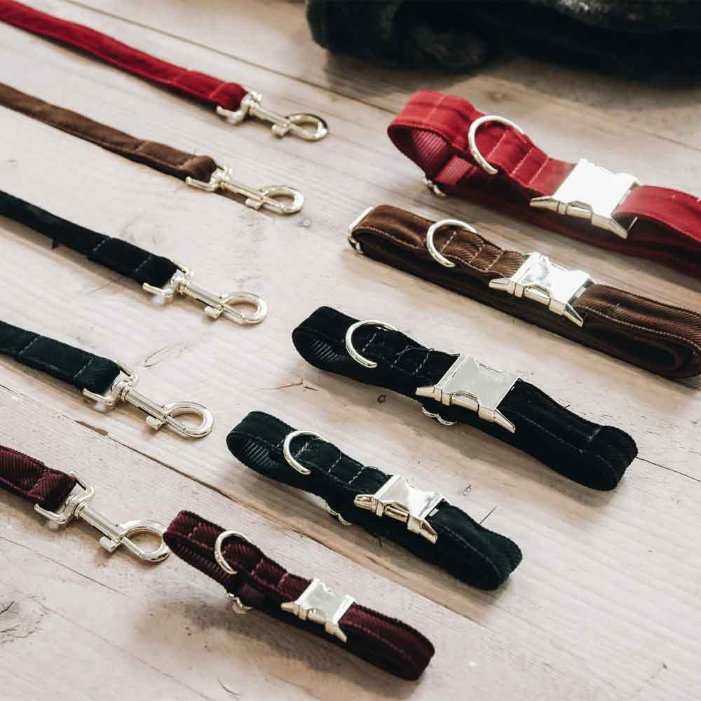 Hundhalsband Corduroy Grön
