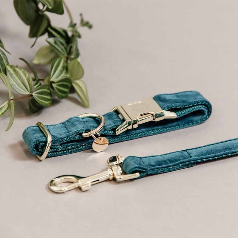 Hundhalsband Velvet Smaragdgrön