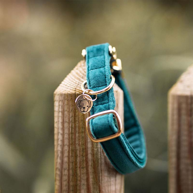 Hundhalsband Velvet Smaragdgrön