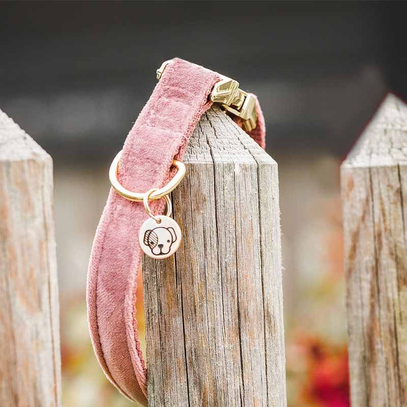 Hundhalsband Velvet Gammelrosa