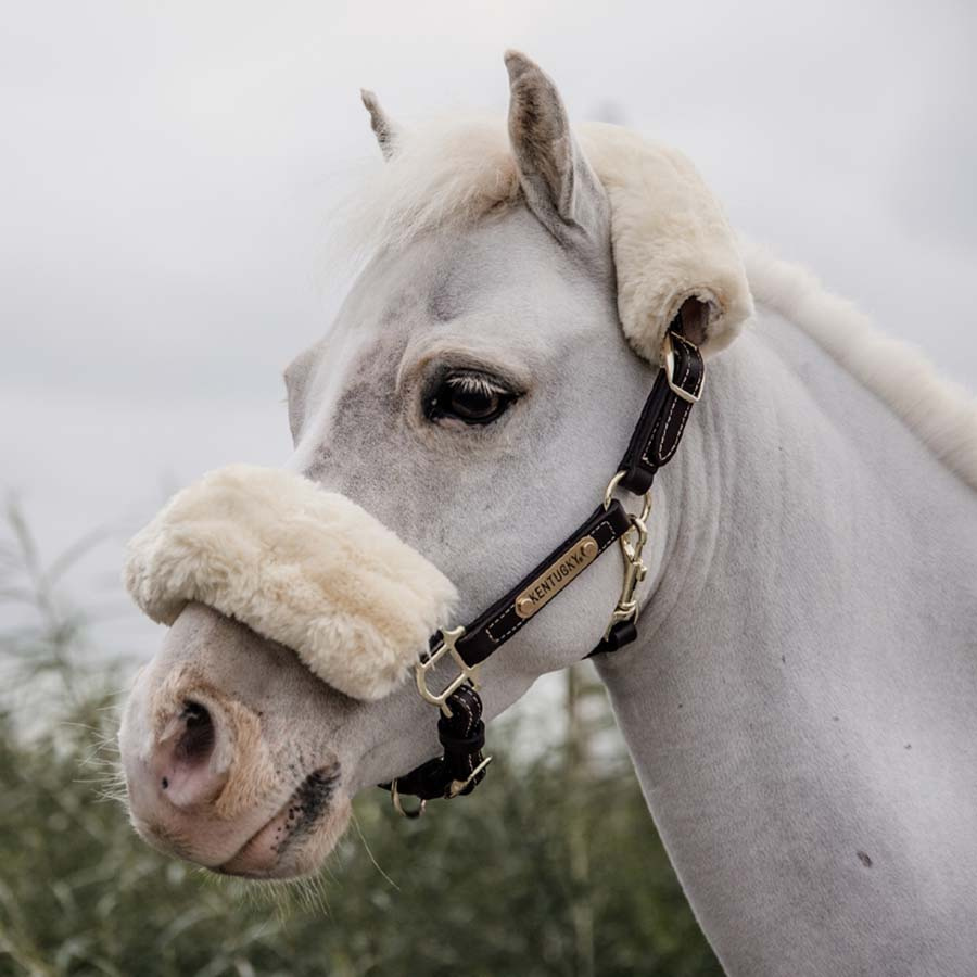 Lädergrimma Pony Artificial Sheepskin Brun
