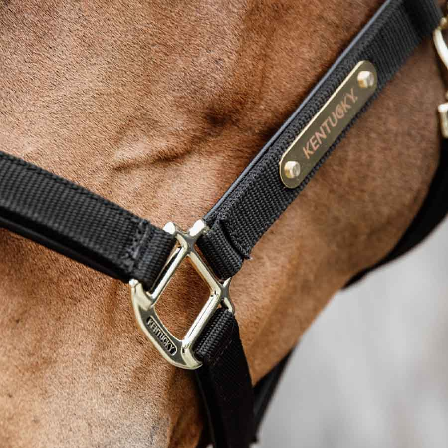 Grimma Anatomic Nylon Svart