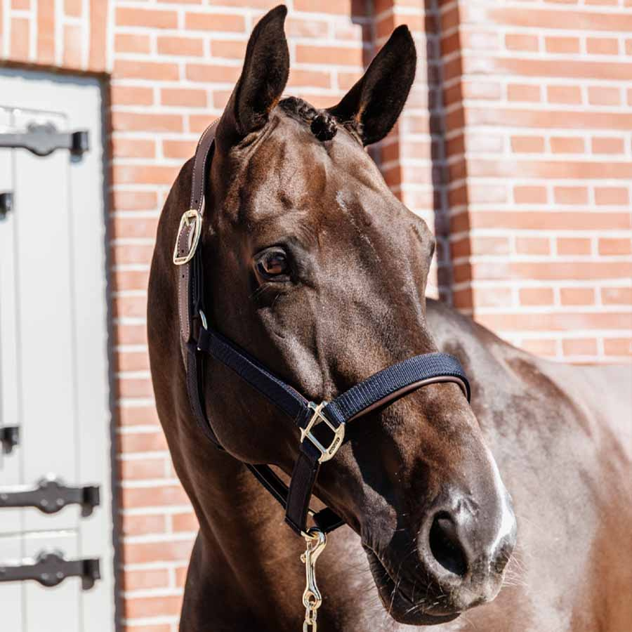 Grimma Anatomic Nylon Marinblå