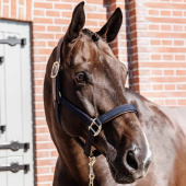 Grimma Anatomic Nylon Marinblå Grimma Anatomic Nylon Marinblå