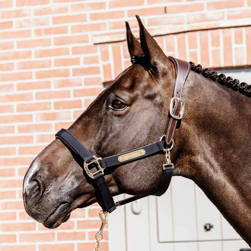 Grimma Anatomic Nylon Marinblå