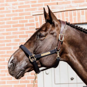 Grimma Anatomic Nylon Marinblå Grimma Anatomic Nylon Marinblå