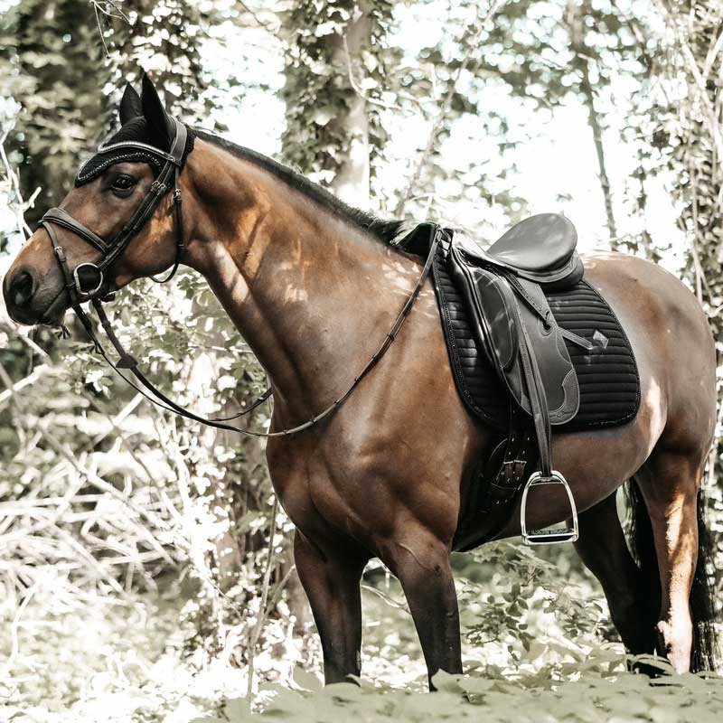 Dressyrschabrak Pearls Svart