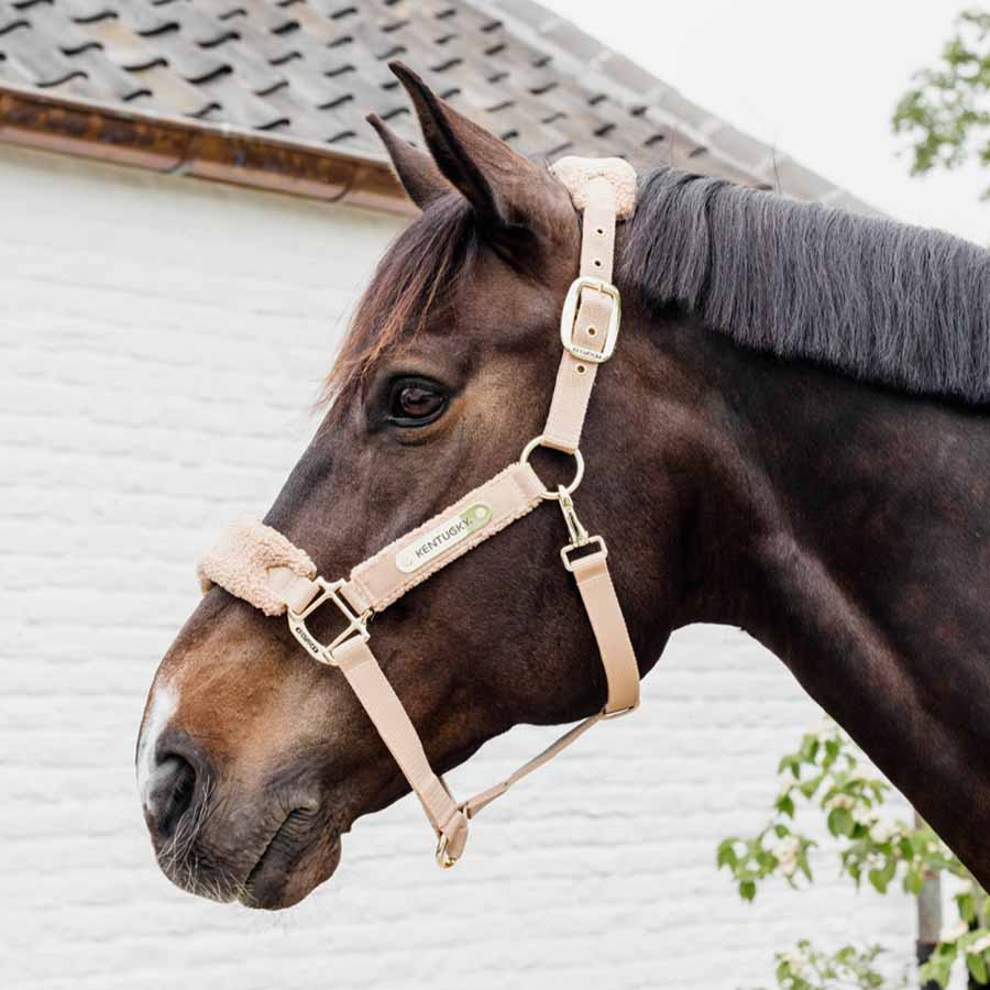 Grimma Teddy Fleece Beige