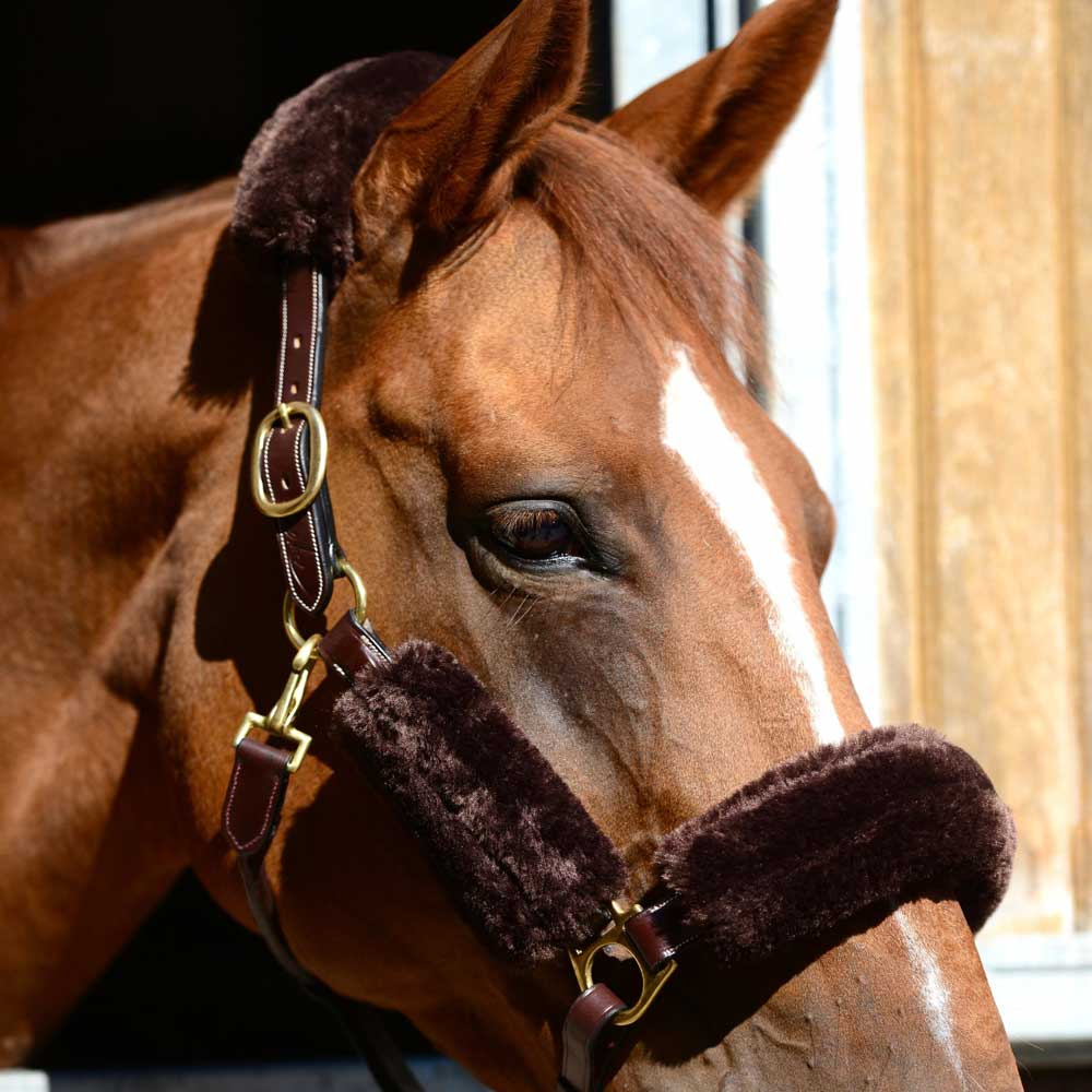 Sheepskin-set till Grimma Brun