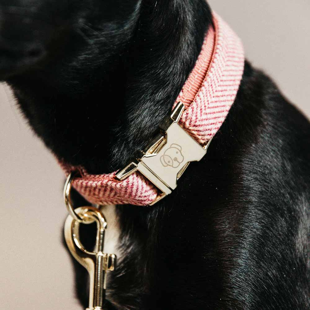 Hundhalsband Wool Rosa