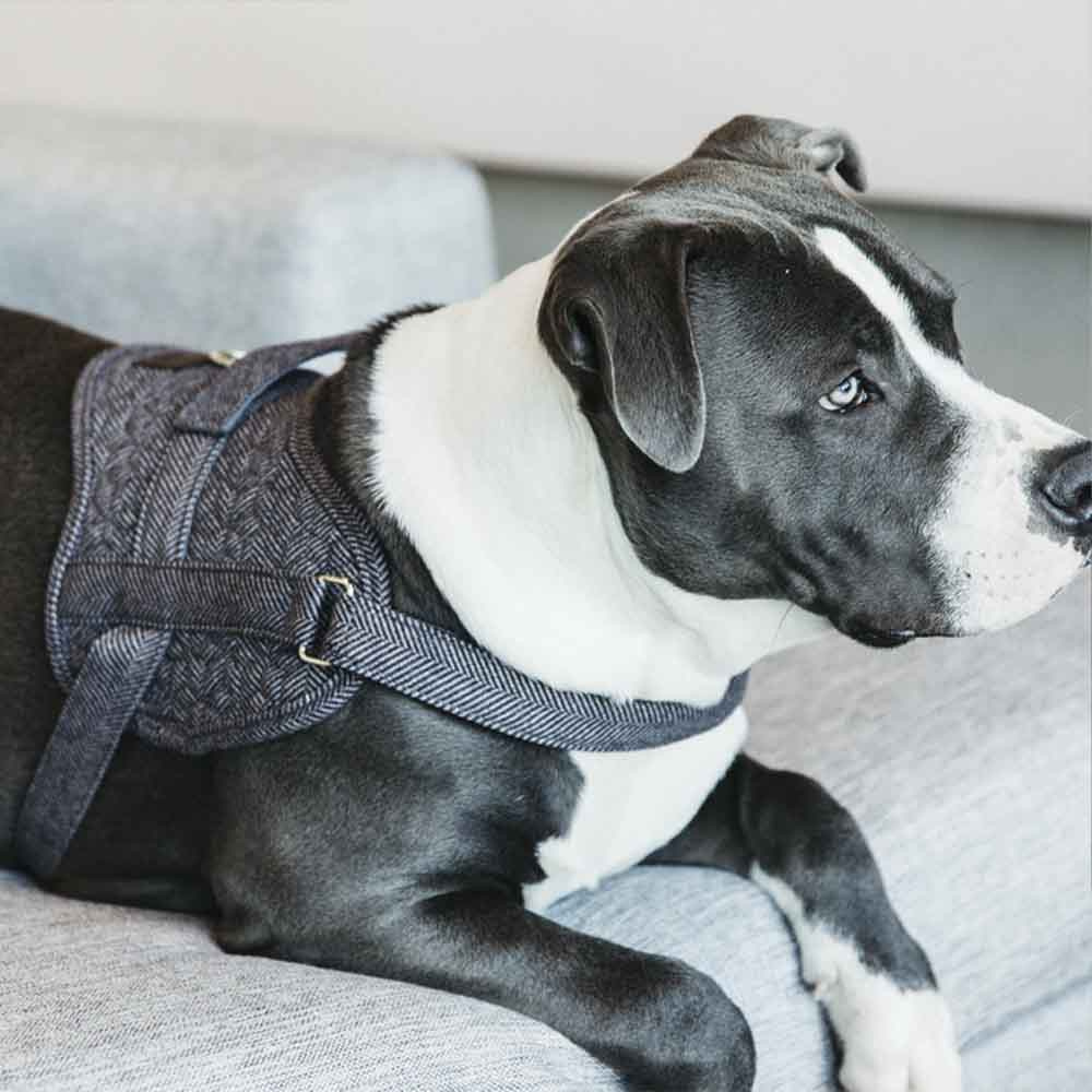 Hundsele Wool Grå