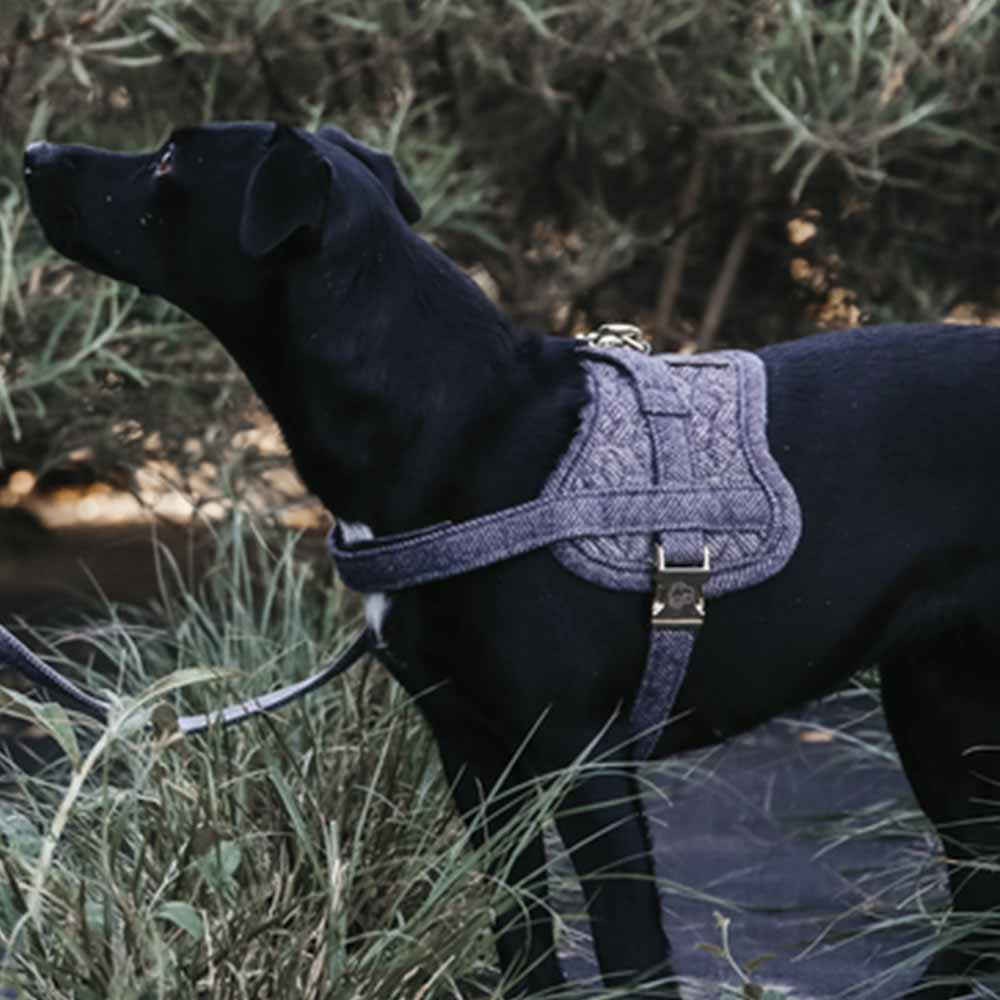 Hundsele Wool Grå