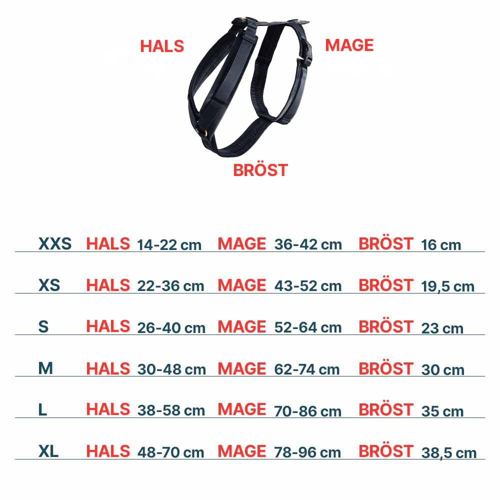 Hundsele Active Velvet Svart