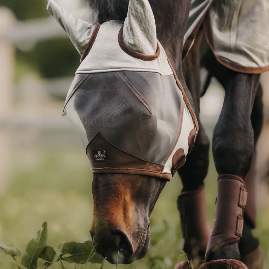 Flughuva Classic med Öron Silver