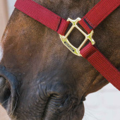 Grimma Breakaway Vinröd Grimma Breakaway Vinröd