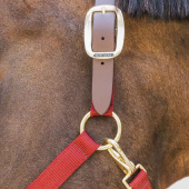 Grimma Breakaway Vinröd Grimma Breakaway Vinröd