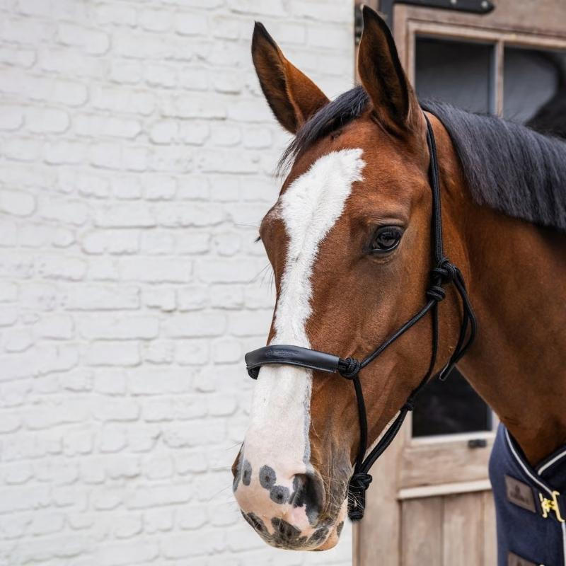 Repgrimma Grooming Deluxe Svart