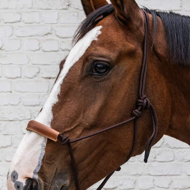 Repgrimma Grooming Deluxe Brun