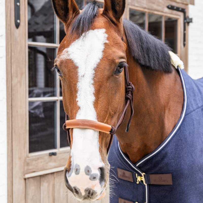 Repgrimma Grooming Deluxe Brun