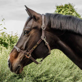 Lädergrimma Artificial Anatomic Flexible Brun Lädergrimma Artificial Anatomic Flexible Brun