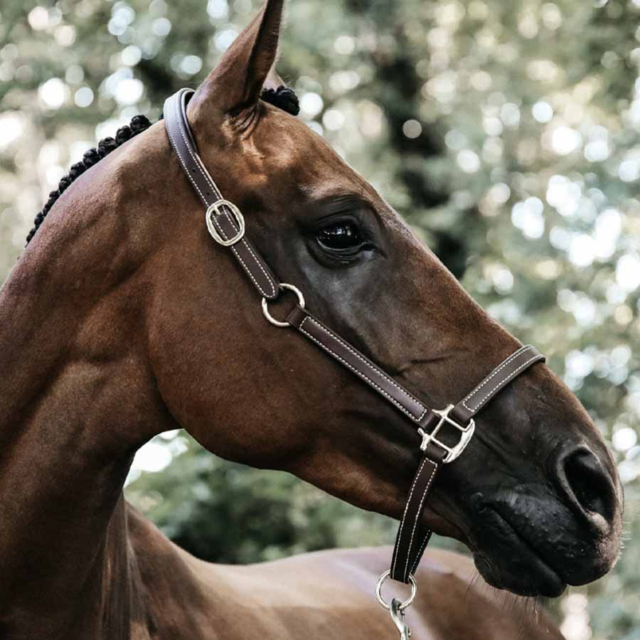 Lädergrimma Artificial Anatomic Flexible Brun