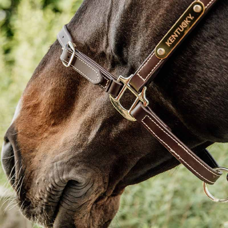 Lädergrimma Artificial Anatomic Flexible Brun