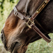 Lädergrimma Artificial Anatomic Flexible Brun Lädergrimma Artificial Anatomic Flexible Brun