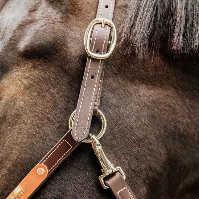 Lädergrimma Artificial Anatomic Flexible Brun