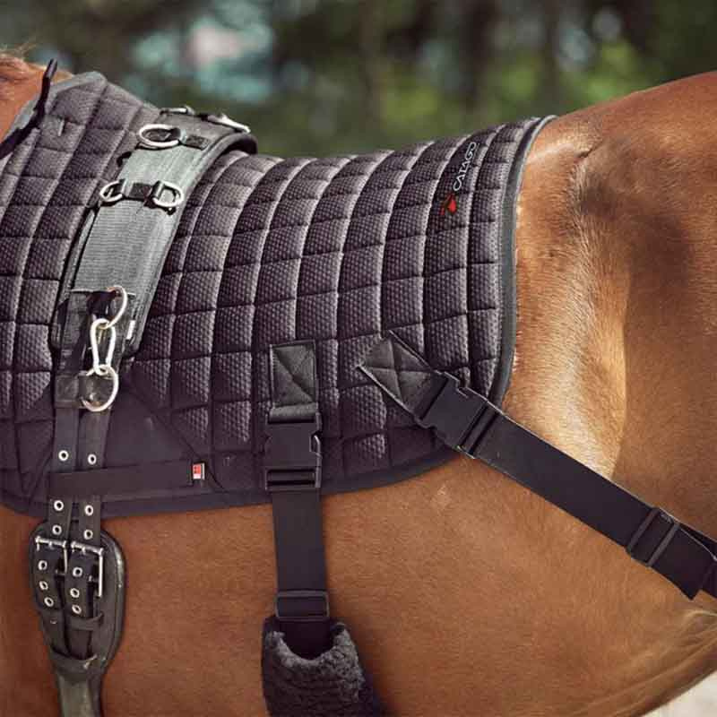 Dressyrschabrak Fir-Tech med Elastiska Band Svart