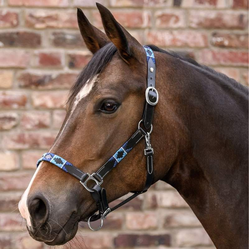 Lädergrimma Polo X-Line Svart/Blå
